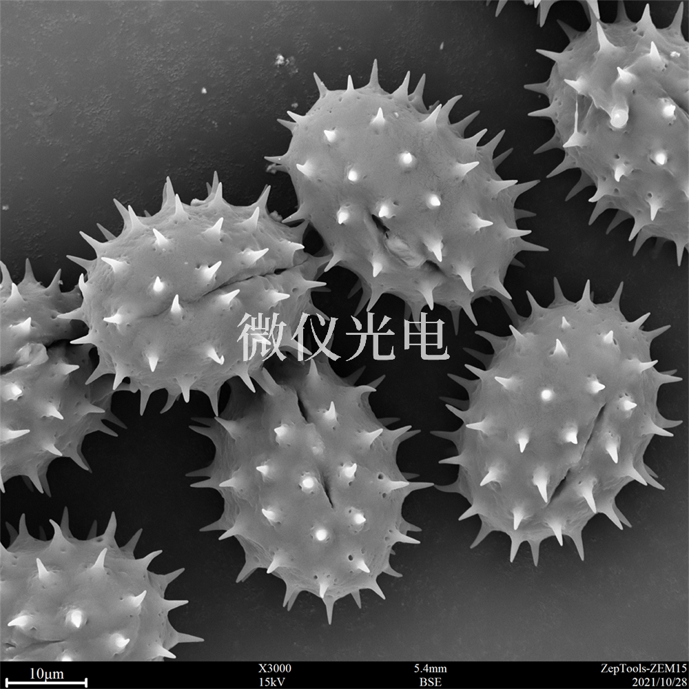 掃描電鏡測樣，要注意什么？